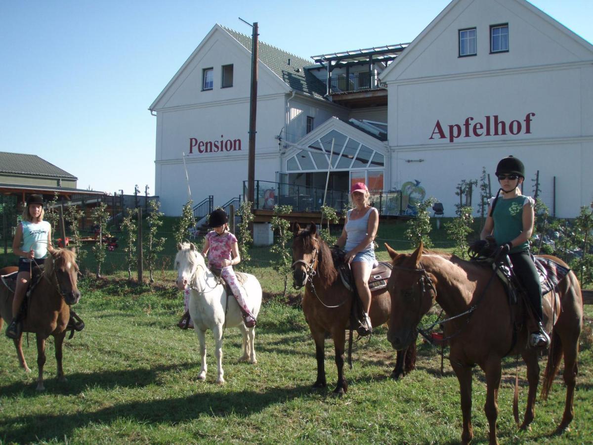 Apfelhof Rohrer Lutzmannsburg Exterior foto